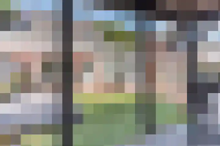 Schaapsheide 12 Odiliapeel thumbnail 40