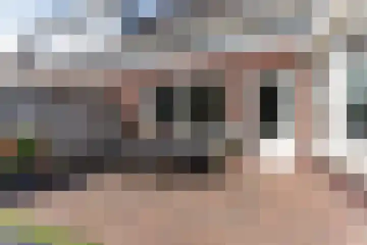Schaapsheide 12 Odiliapeel thumbnail 42