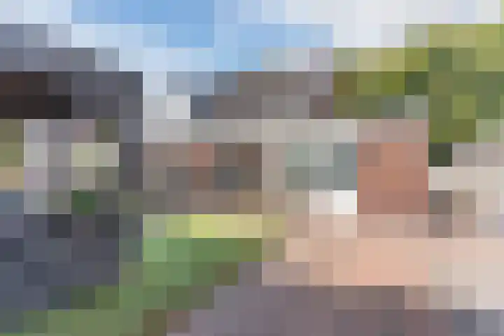 Schaapsheide 12 Odiliapeel thumbnail 43