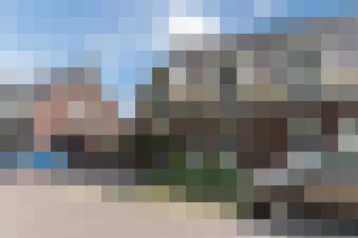 Schaapsheide 12 Odiliapeel thumbnail 45
