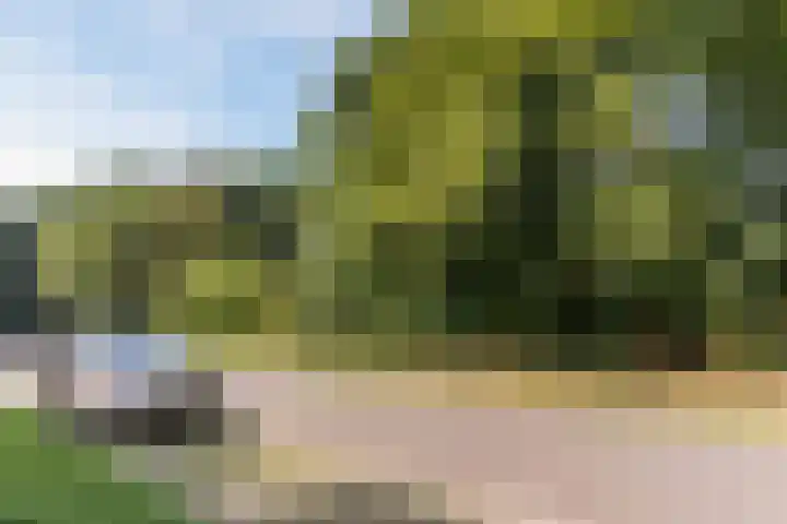 Schaapsheide 12 Odiliapeel thumbnail 47