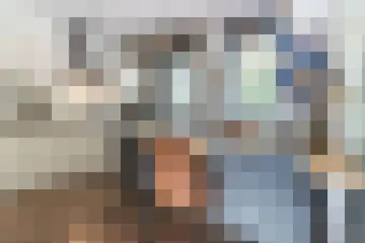 Schaapsheide 12 Odiliapeel thumbnail 6