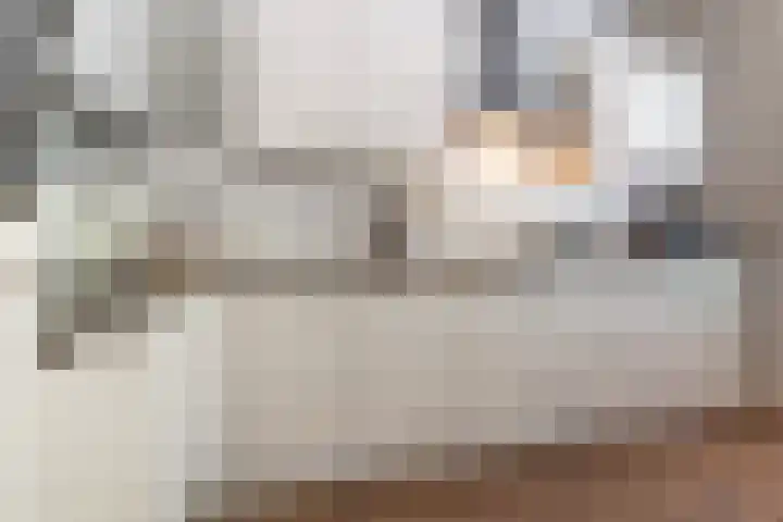 Schaapsheide 12 Odiliapeel thumbnail 7