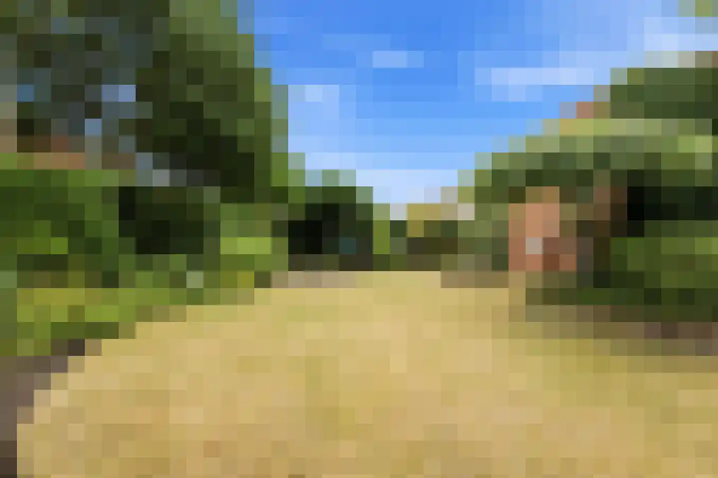 Schaapsheul 12 Gorinchem thumbnail 10