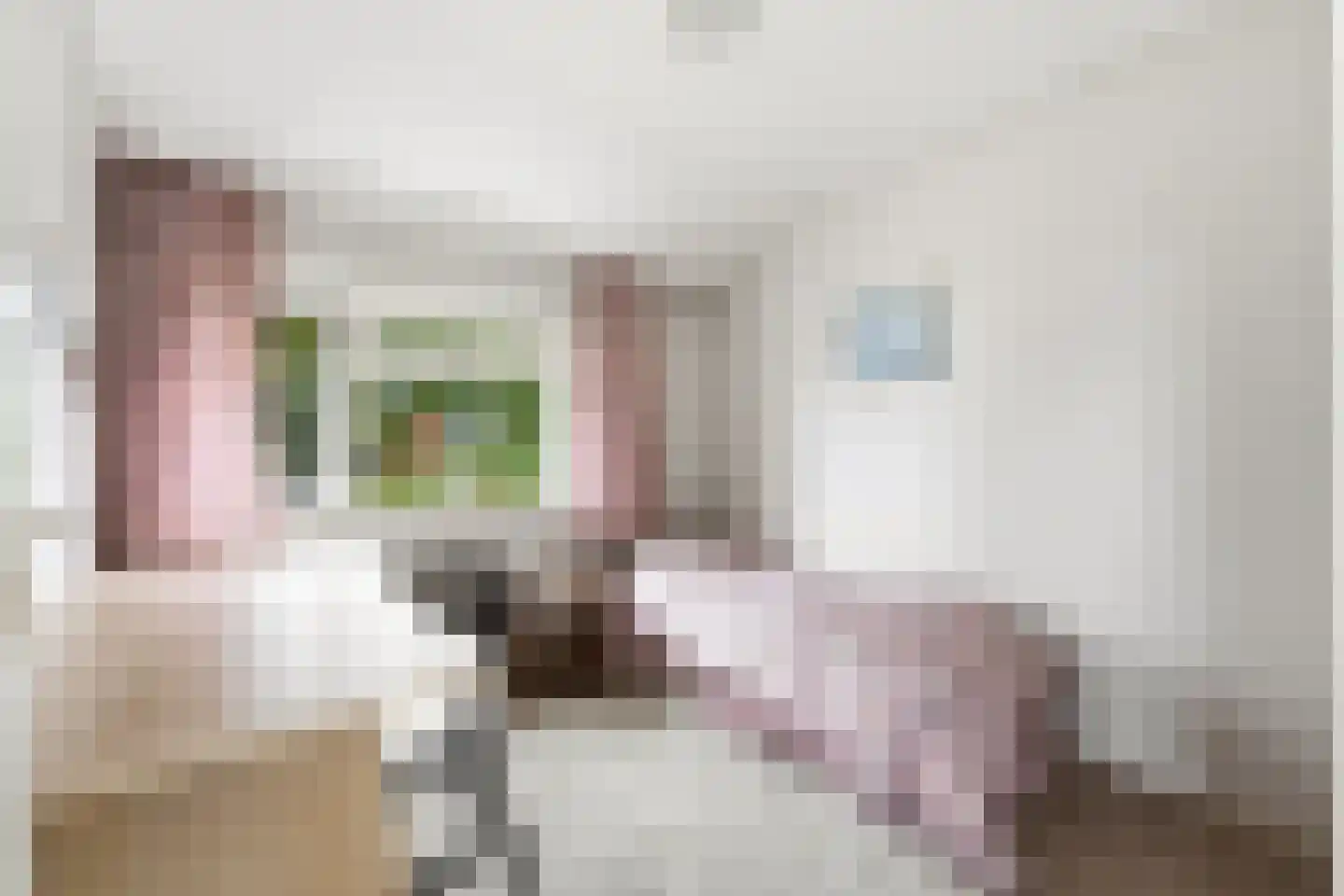 Schaapsheul 12 Gorinchem thumbnail 12