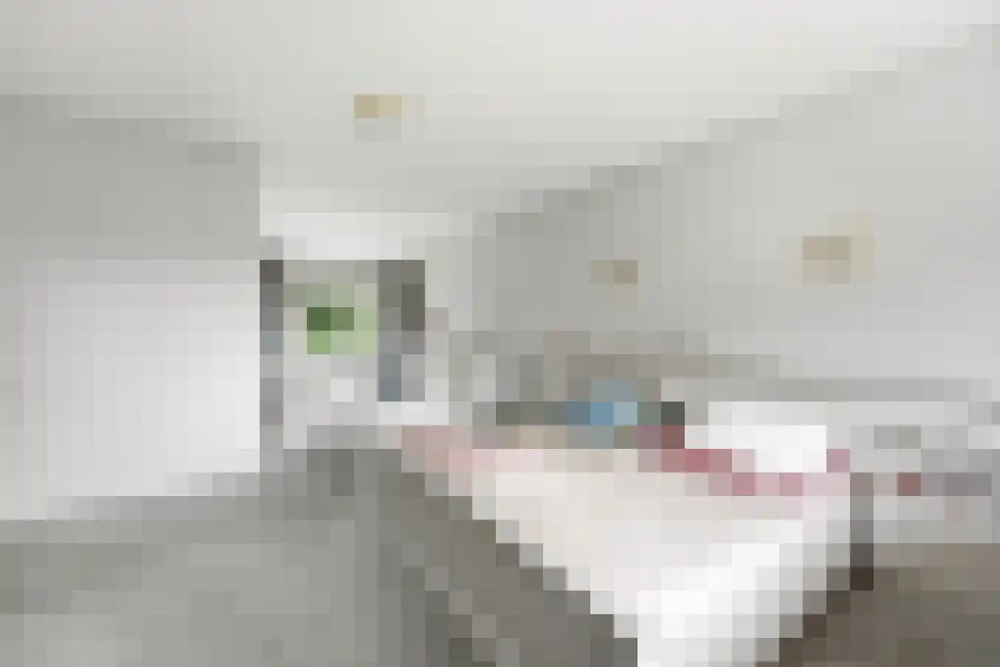 Schaapsheul 12 Gorinchem thumbnail 7