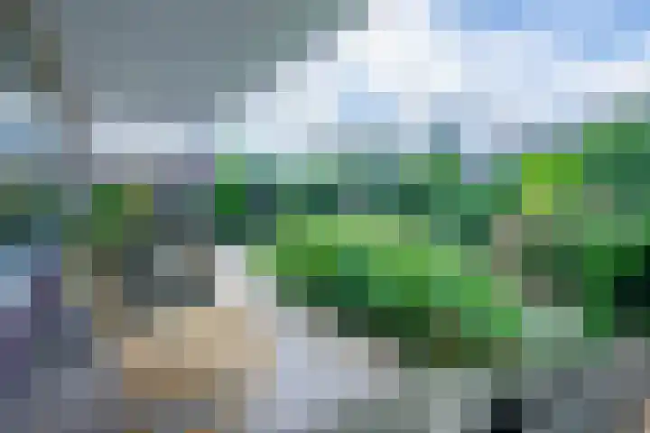 Schaapsheul 3 Gorinchem thumbnail 22
