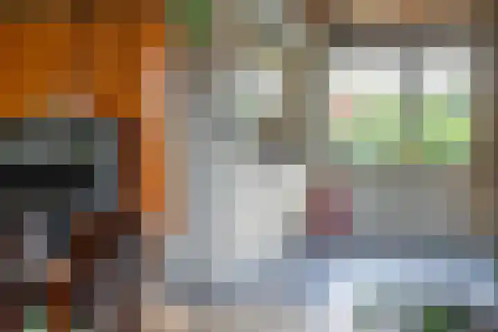 Schaapsheul 3 Gorinchem thumbnail 9