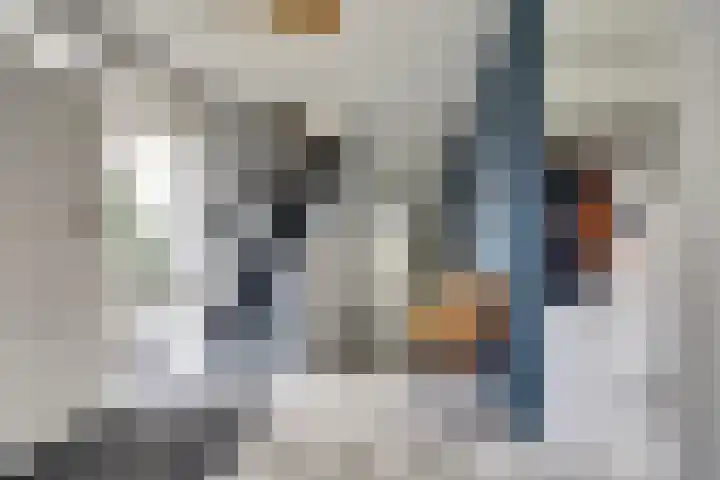 Schaapskamp 11 Hierden thumbnail 10