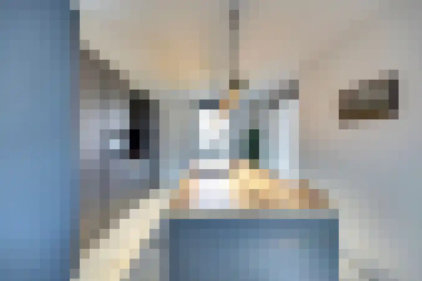 Schaapskamp 11 Hierden thumbnail 17