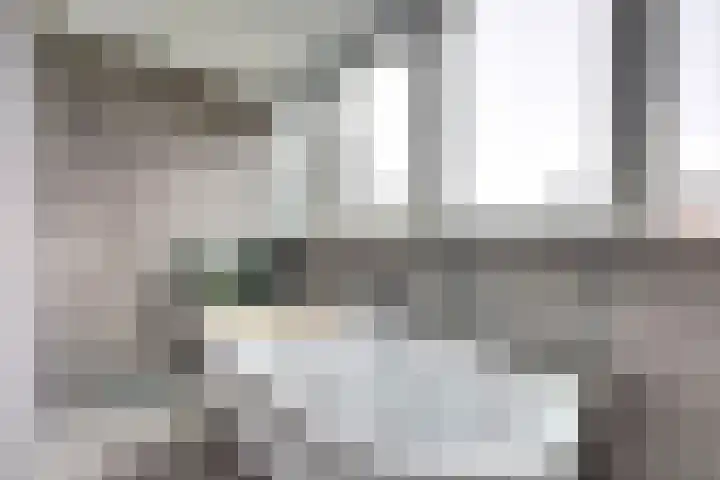 Schaapskamp 11 Hierden thumbnail 26