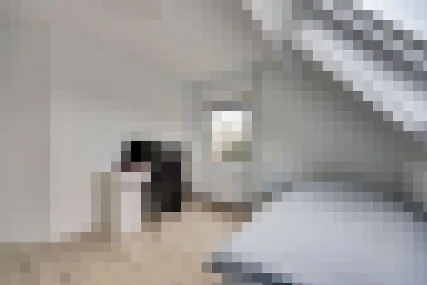 Schaapskamp 11 Hierden thumbnail 29