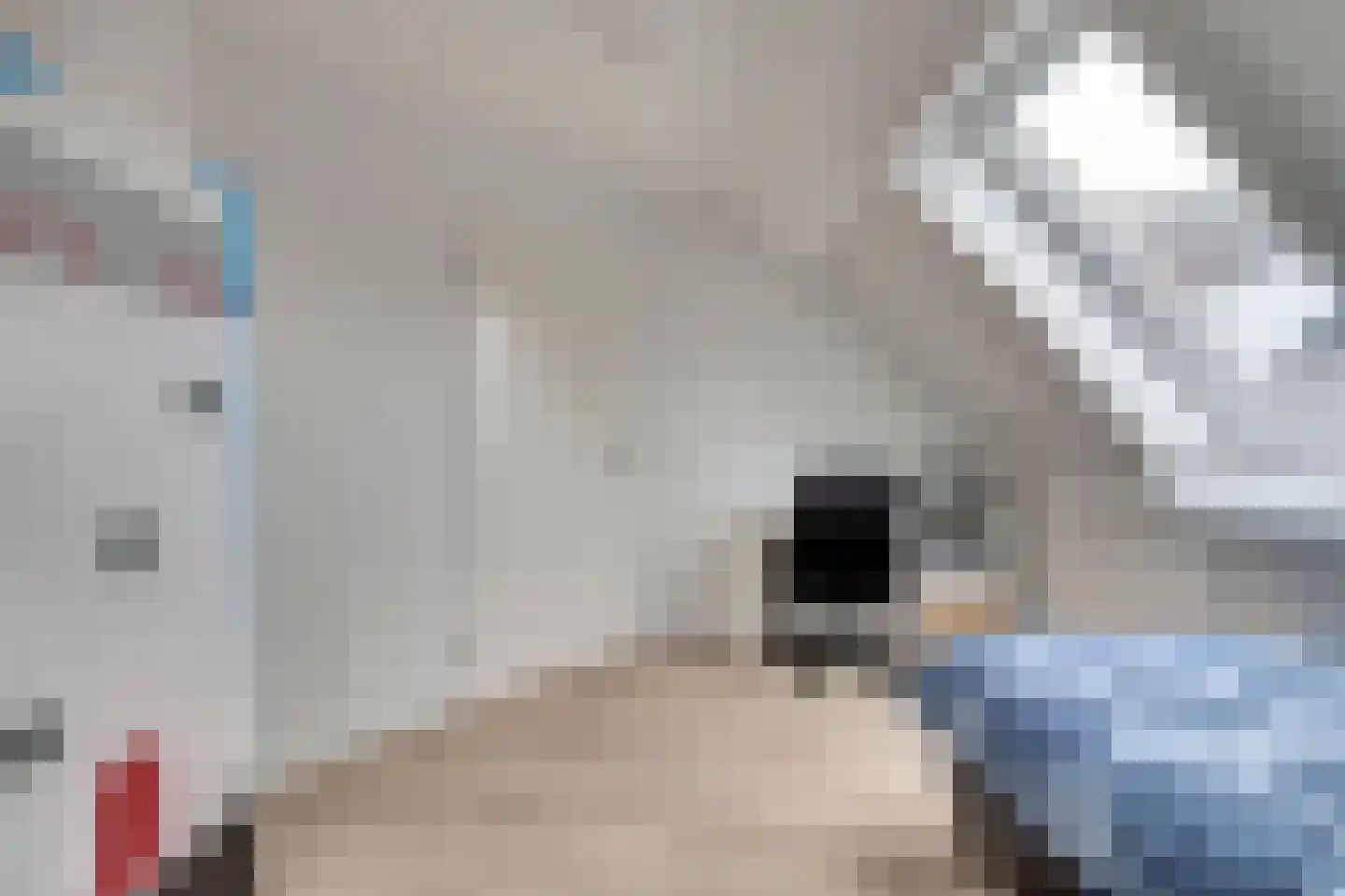 Schaapskamp 11 Hierden thumbnail 30