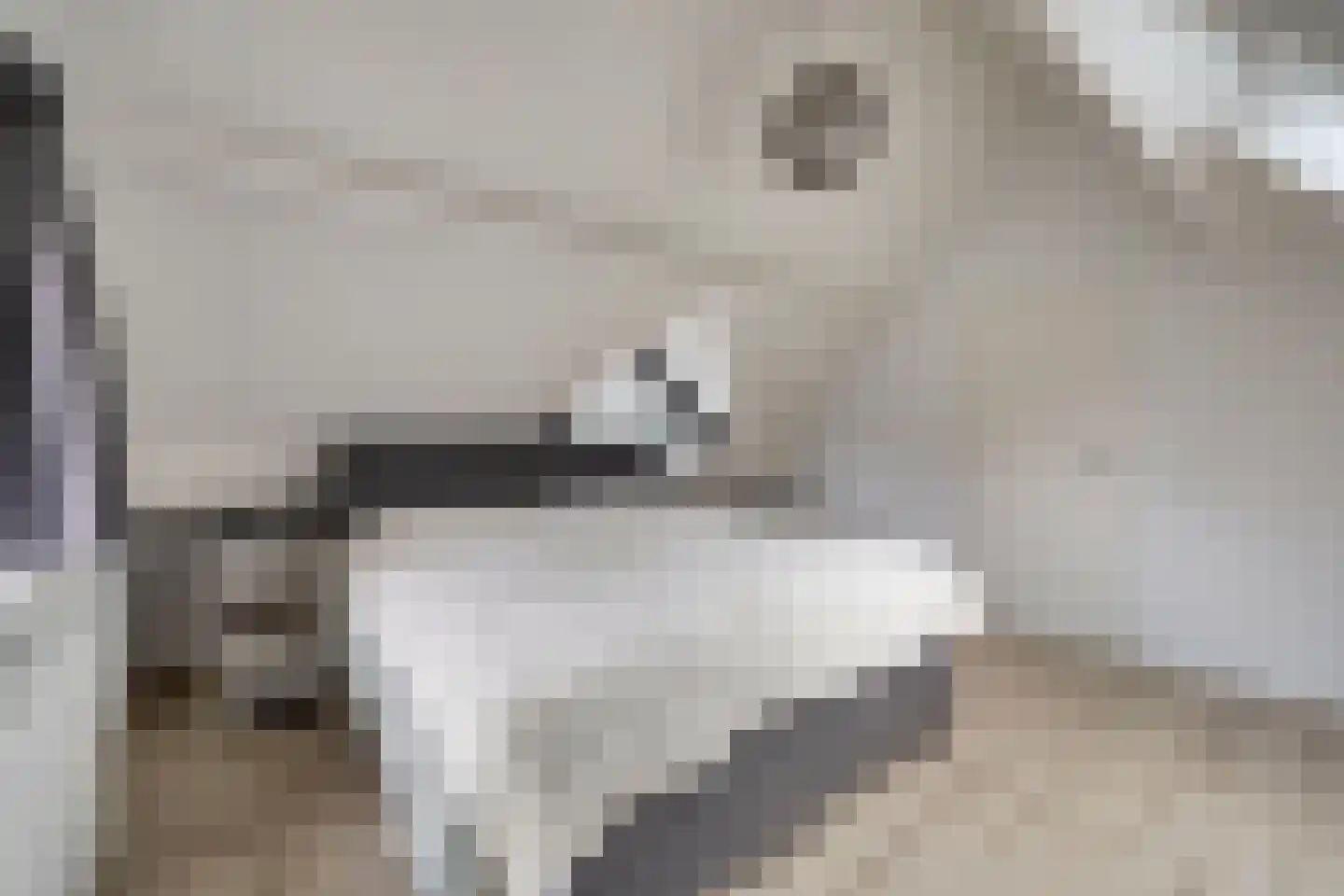 Schaapskamp 11 Hierden thumbnail 35
