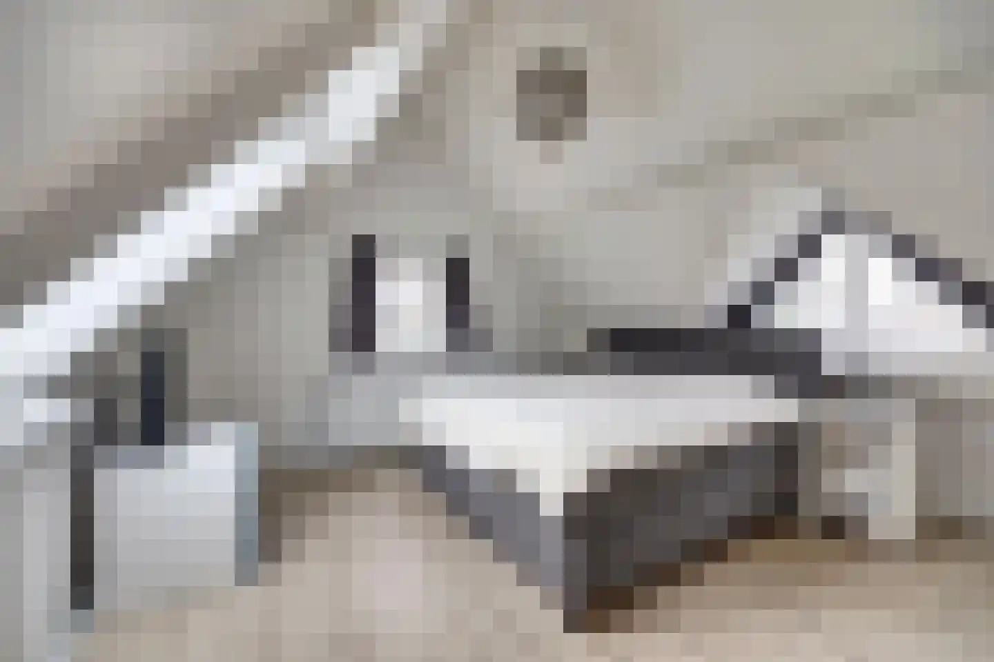 Schaapskamp 11 Hierden thumbnail 36