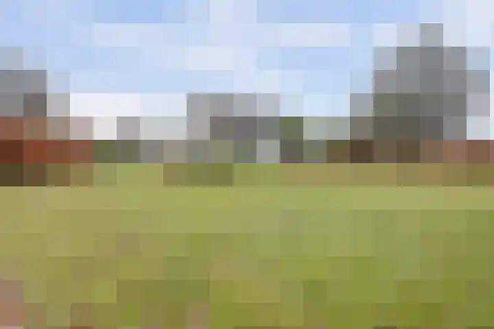 Schaapskamp 11 Hierden thumbnail 4