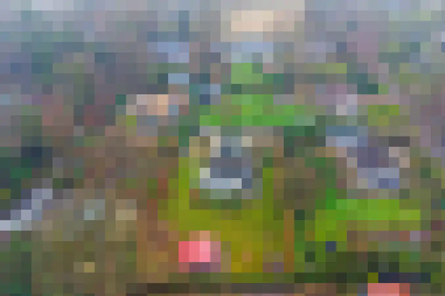 Schaapskamp 11 Hierden thumbnail 45