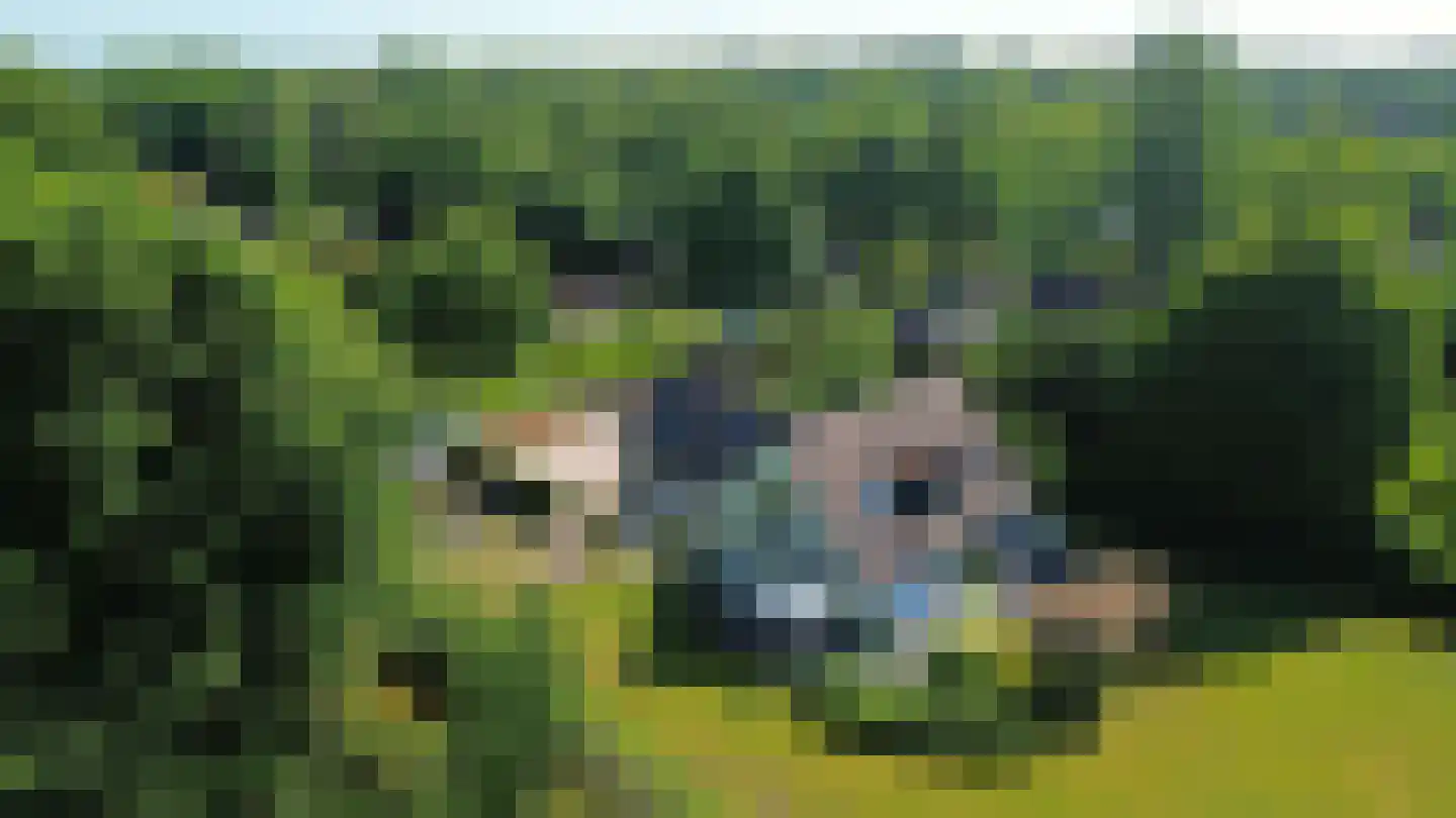 Schaapskamp 11 Hierden thumbnail 47