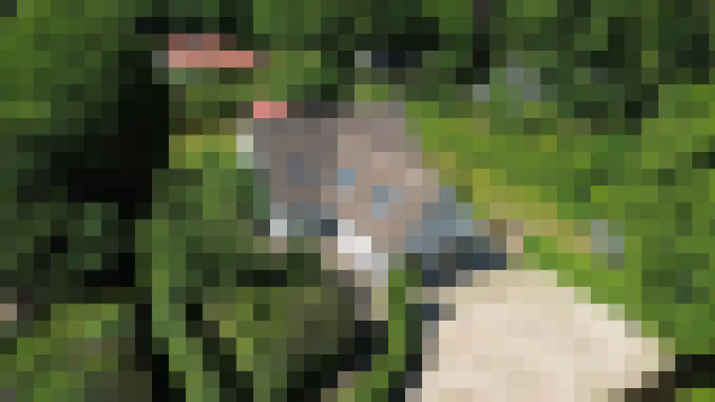 Schaapskamp 11 Hierden thumbnail 48