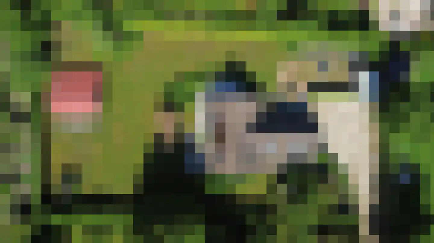 Schaapskamp 11 Hierden thumbnail 49