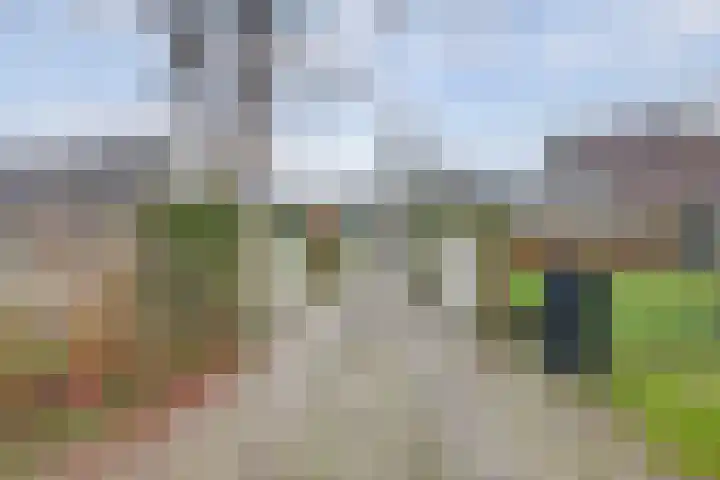 Schaapskamp 11 Hierden thumbnail 5