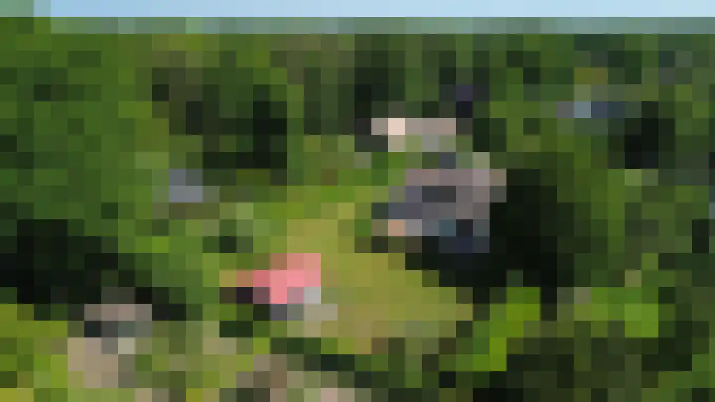 Schaapskamp 11 Hierden thumbnail 50