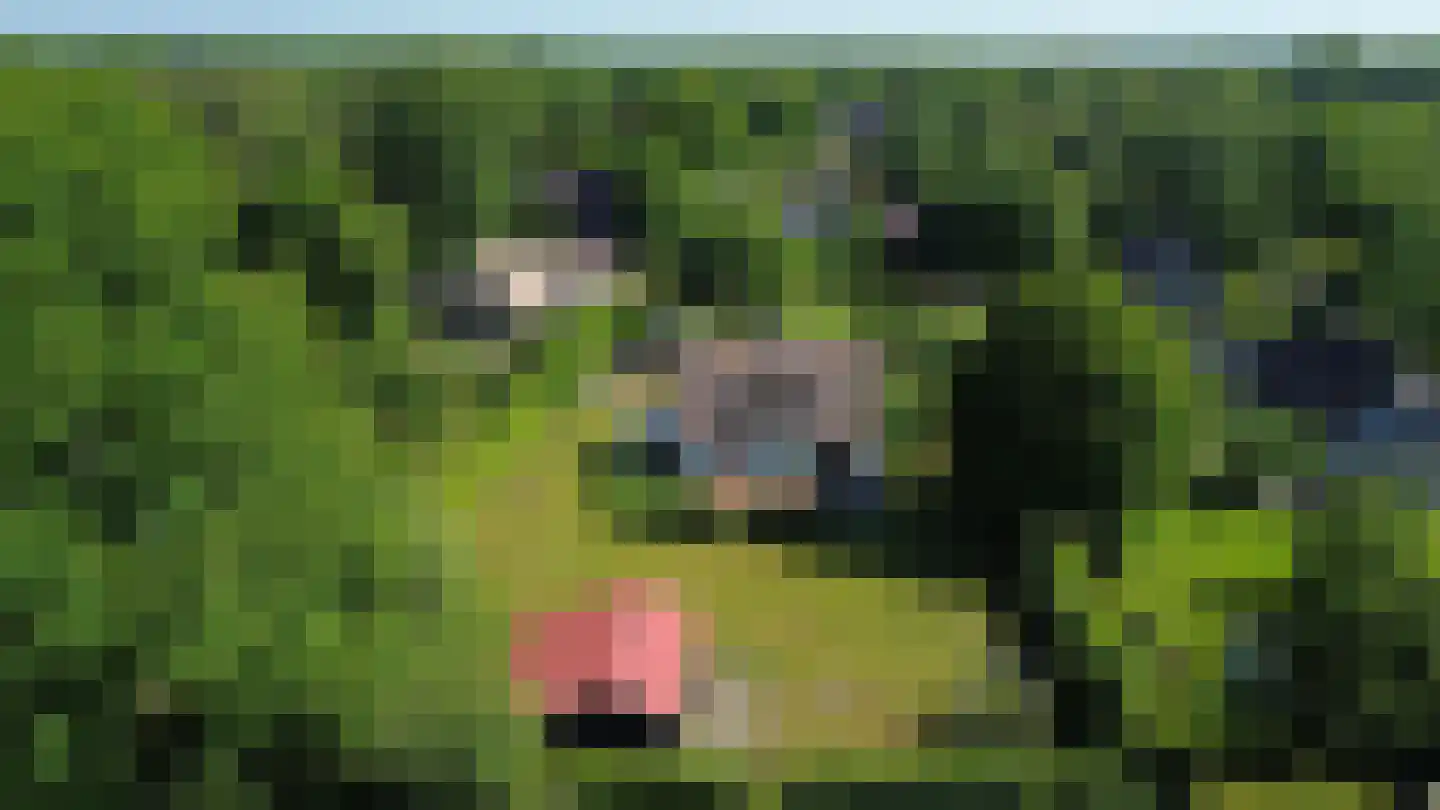 Schaapskamp 11 Hierden thumbnail 51