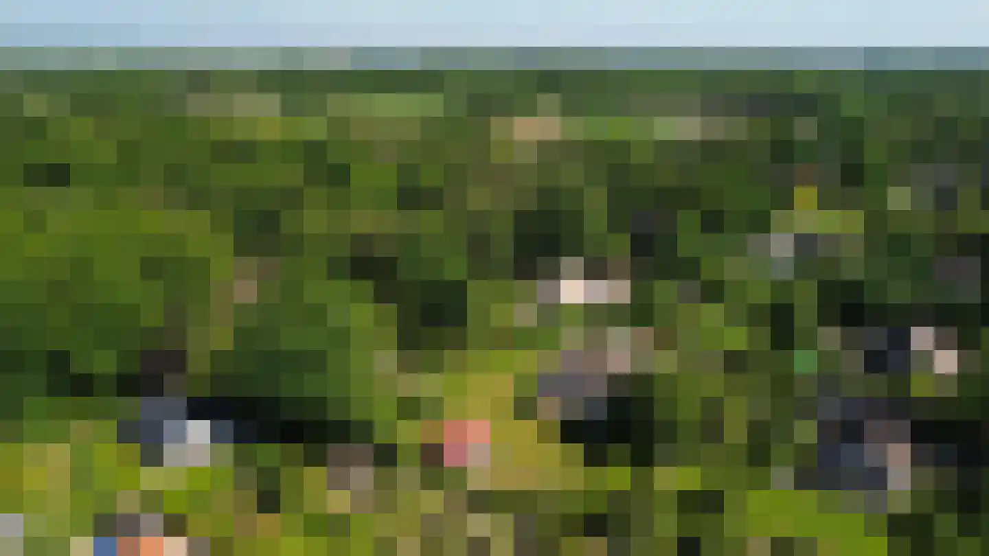 Schaapskamp 11 Hierden thumbnail 52