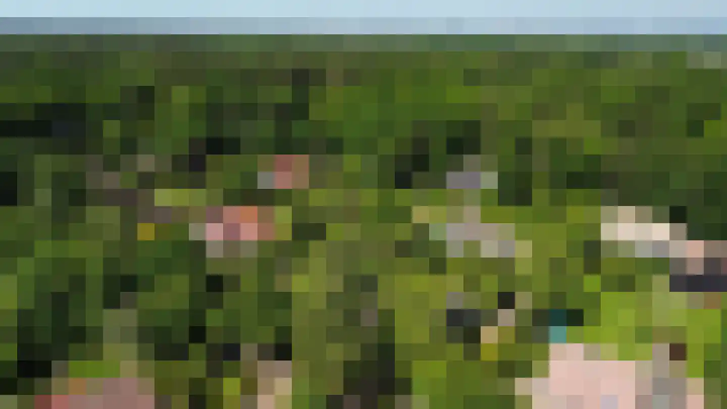 Schaapskamp 11 Hierden thumbnail 53