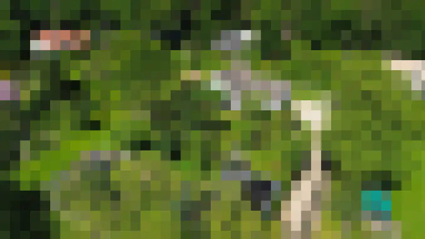 Schaapskamp 11 Hierden thumbnail 54