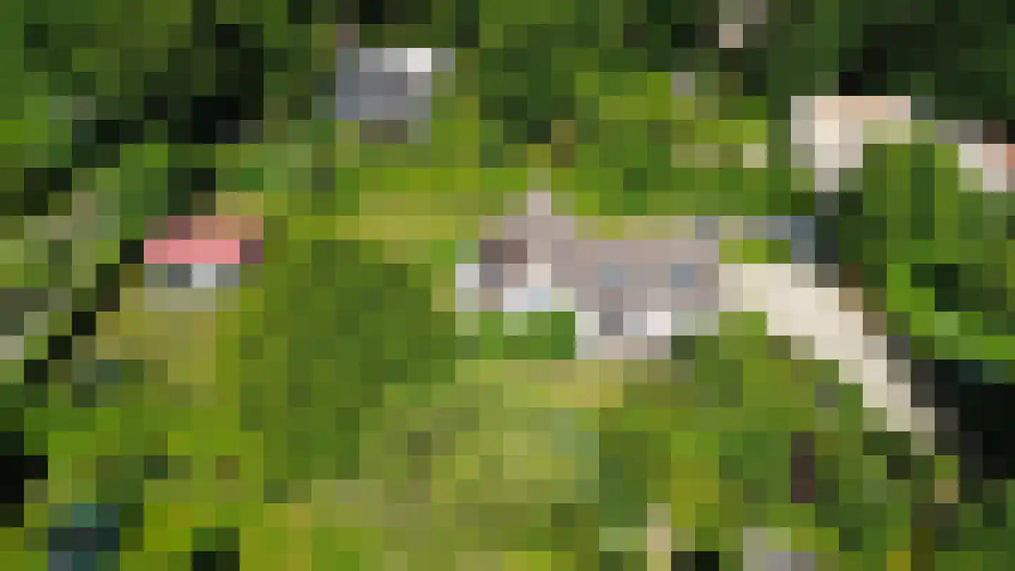 Schaapskamp 11 Hierden thumbnail 55