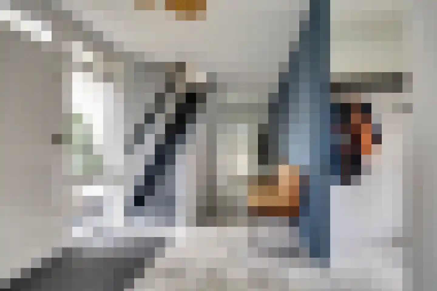 Schaapskamp 11 Hierden thumbnail 8