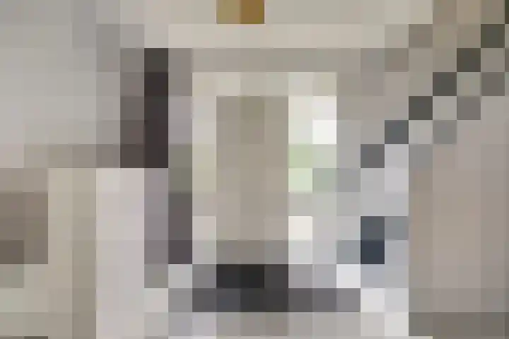 Schaapskamp 11 Hierden thumbnail 9