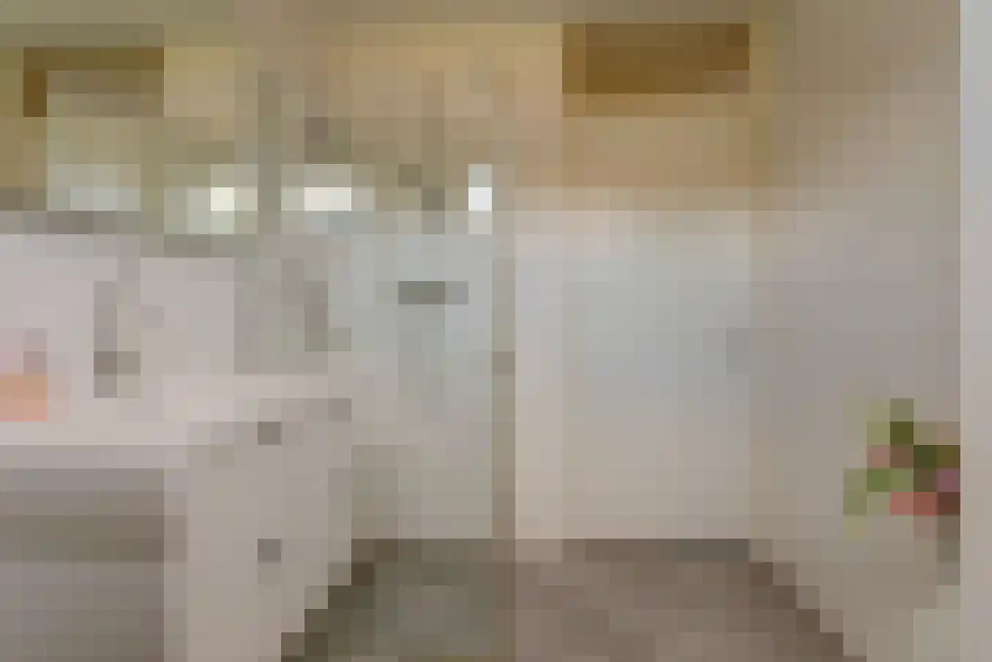 Schaapskamp 40 Bemmel thumbnail 19
