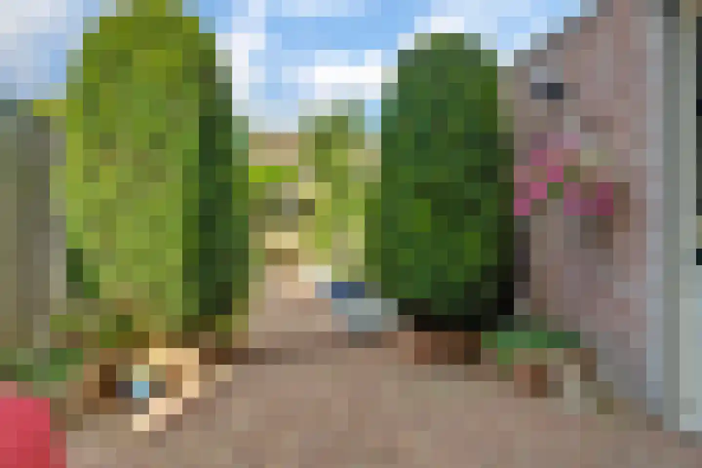 Schaapskamp 40 Bemmel thumbnail 22