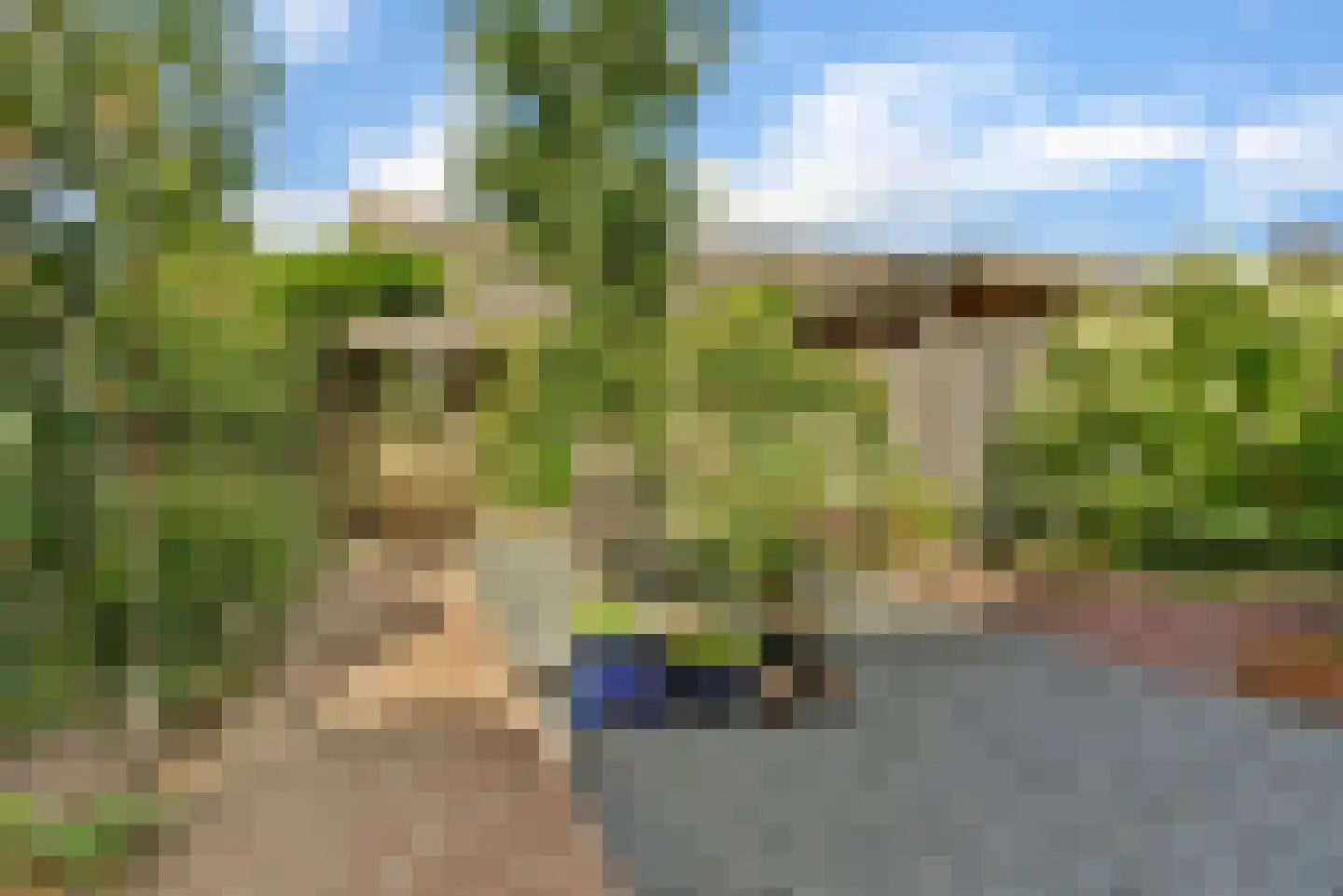 Schaapskamp 40 Bemmel thumbnail 23