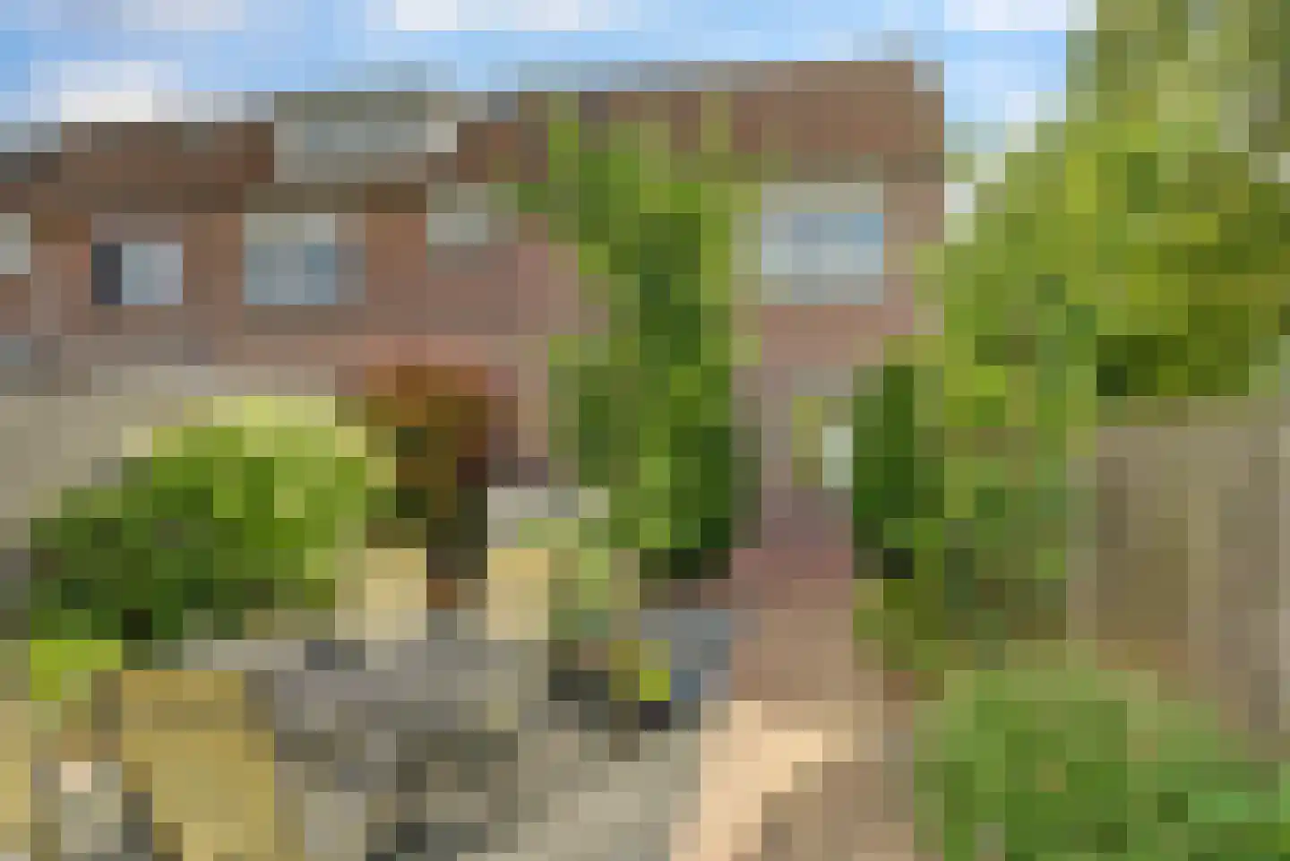 Schaapskamp 40 Bemmel thumbnail 24