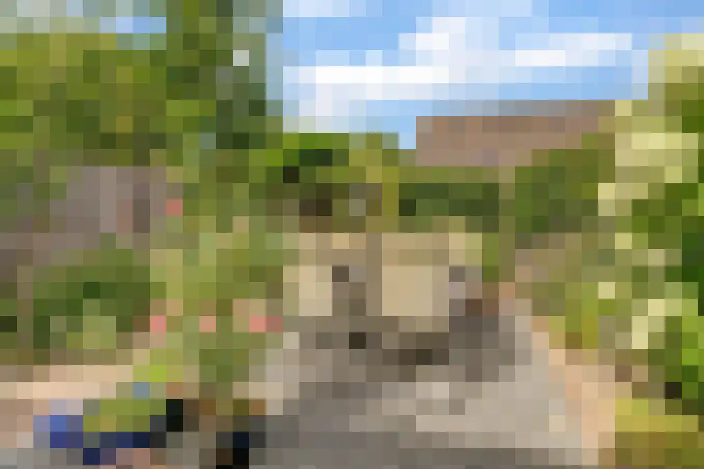 Schaapskamp 40 Bemmel thumbnail 25