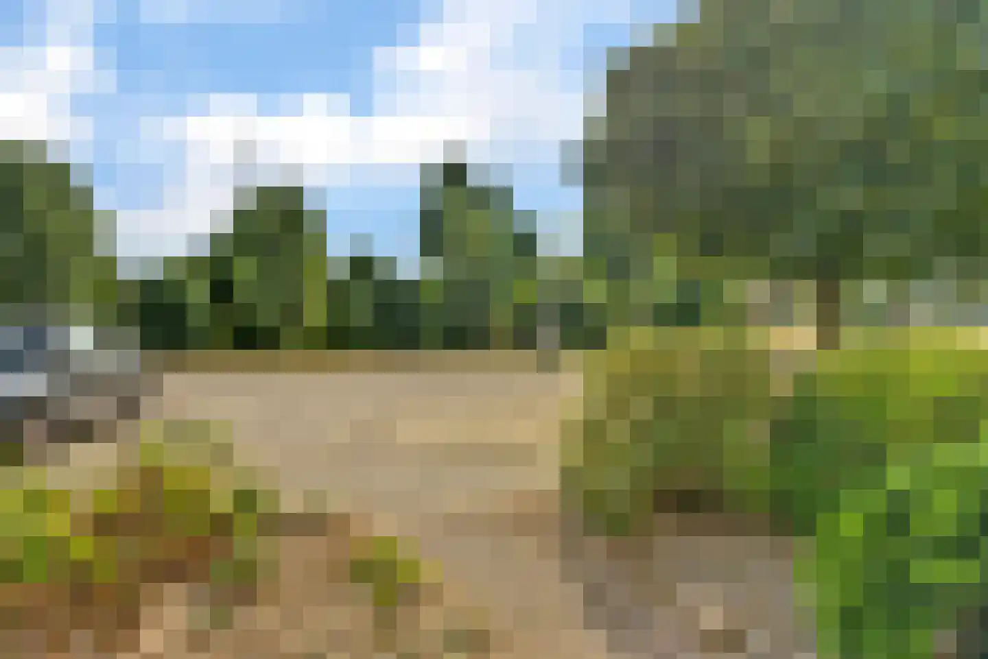 Schaapskamp 40 Bemmel thumbnail 27