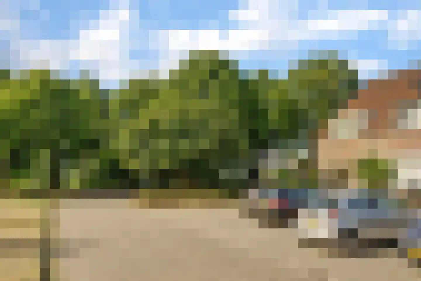 Schaapskamp 40 Bemmel thumbnail 28