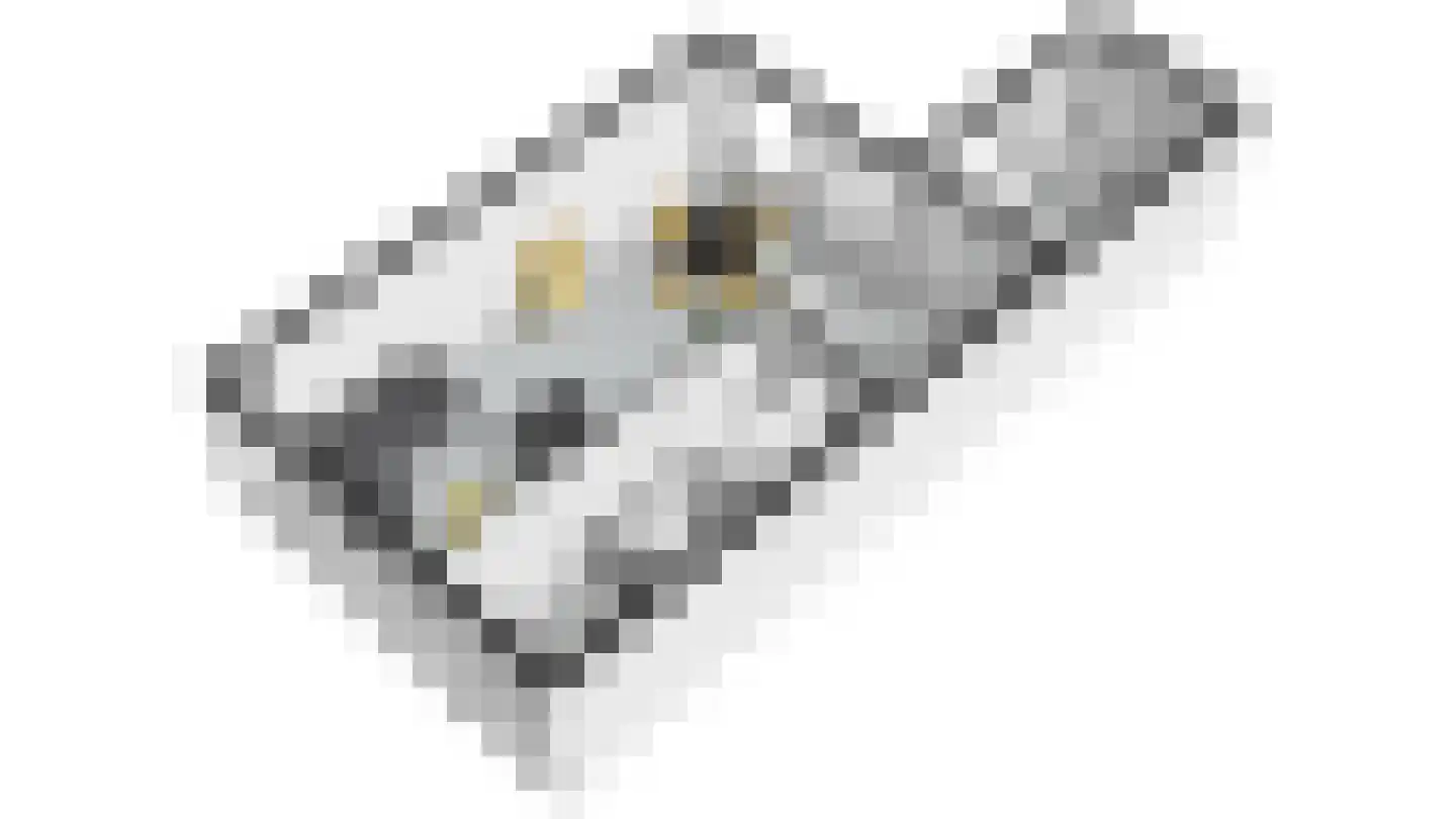 Schaapskamp 40 Bemmel thumbnail 31