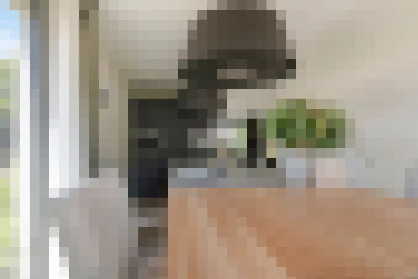 Schaapskooi 1 Prinsenbeek thumbnail 16