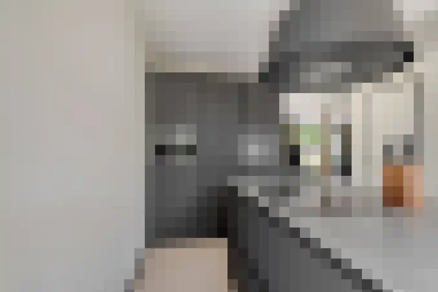Schaapskooi 1 Prinsenbeek thumbnail 17