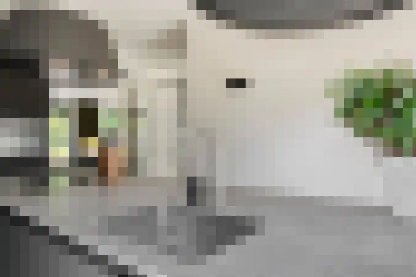 Schaapskooi 1 Prinsenbeek thumbnail 18