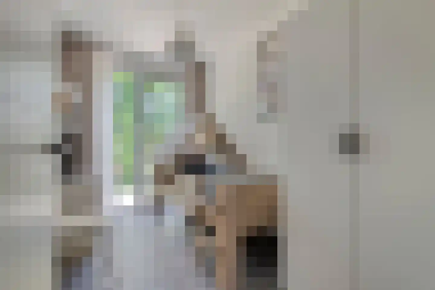 Schaapskooi 1 Prinsenbeek thumbnail 24