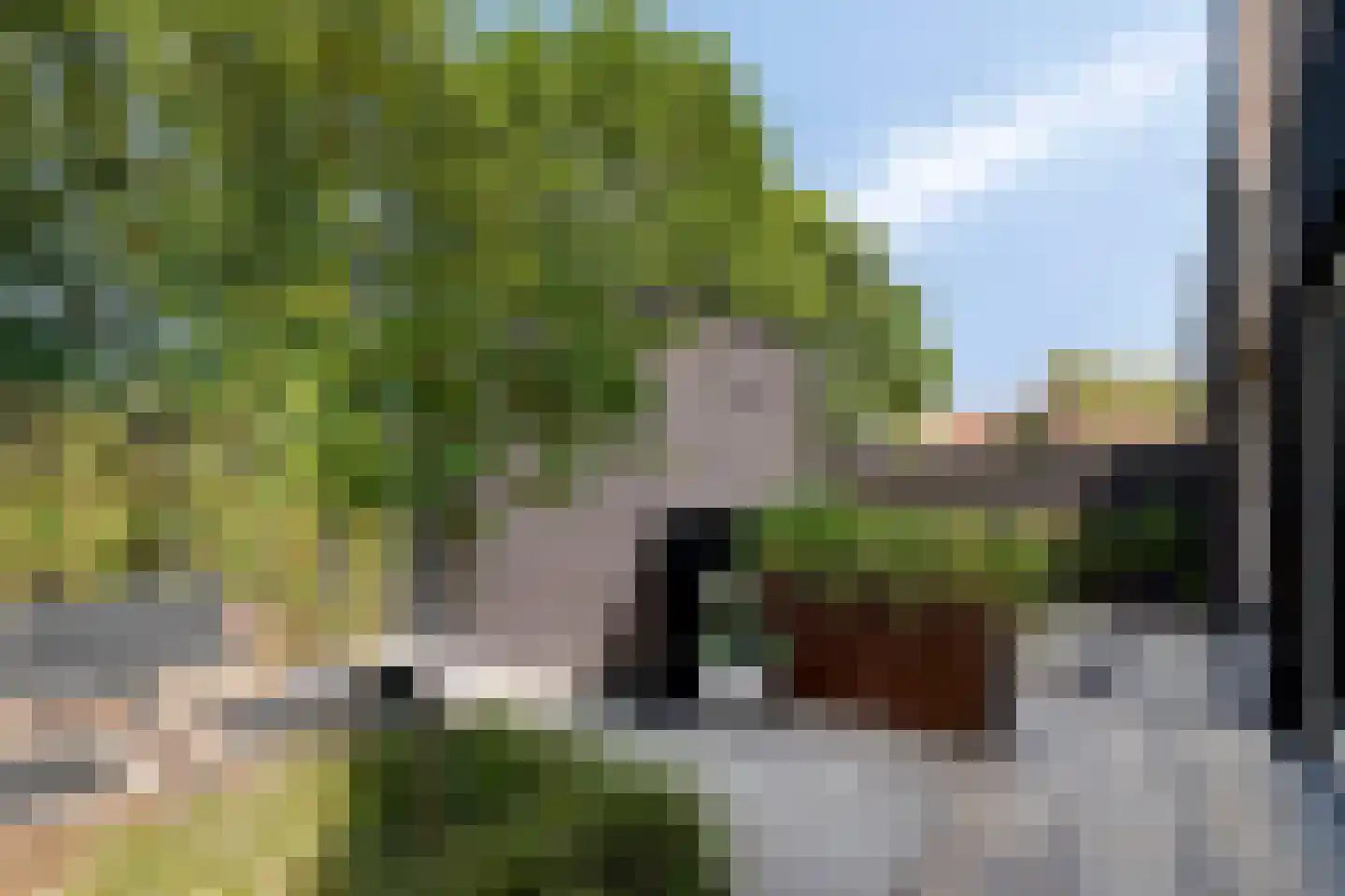 Schaapskooi 1 Prinsenbeek thumbnail 30
