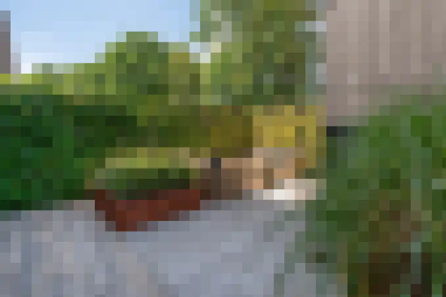 Schaapskooi 1 Prinsenbeek thumbnail 31