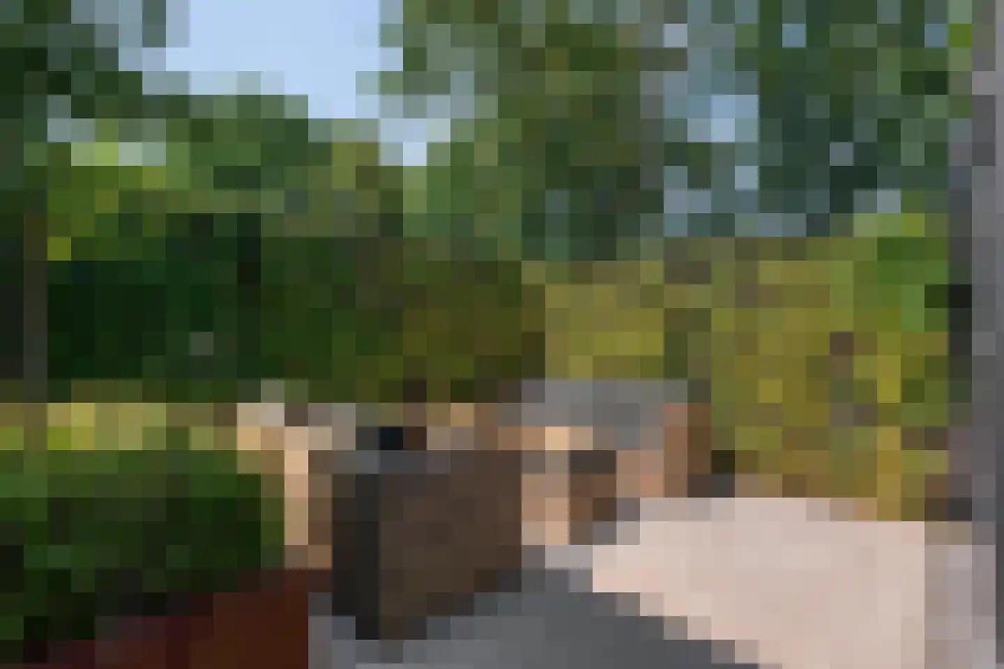 Schaapskooi 1 Prinsenbeek thumbnail 32