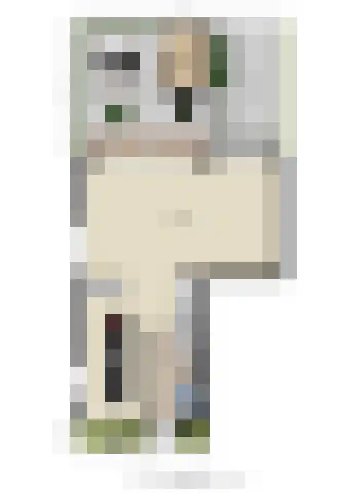 Schaapskooi 1 Prinsenbeek thumbnail 43
