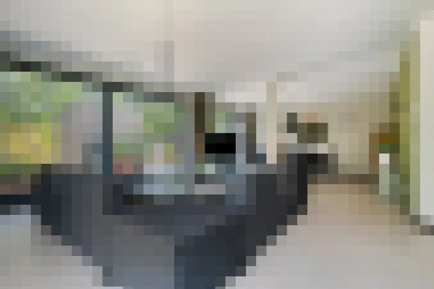 Schaapskooi 1 Prinsenbeek thumbnail 8